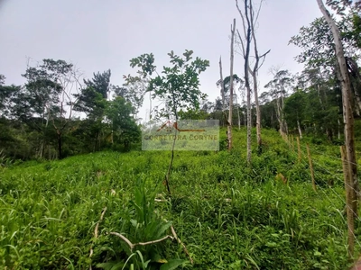 Terreno, 1200 m² - Foto 5