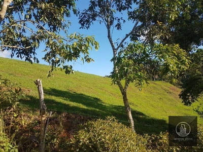 Fazenda-Sítio-Chácara, 20 hectares - Foto 5