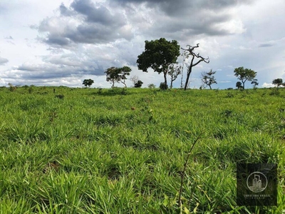 Fazenda-Sítio-Chácara, 1021 hectares - Foto 4