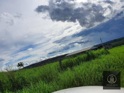 Fazenda-Sítio-Chácara, 1021 hectares - Foto 2