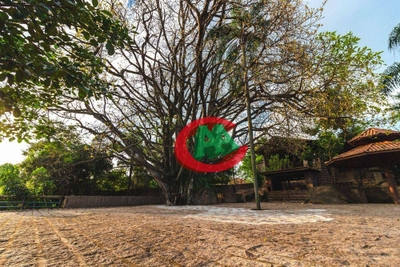 Chácara, 3 quartos, 4 hectares - Foto 4