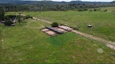 Fazenda-Sítio-Chácara, 936 hectares - Foto 1