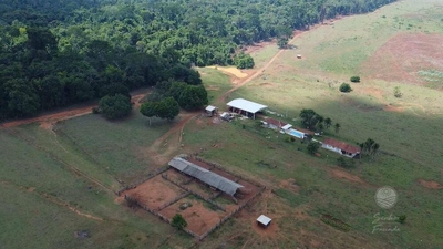Fazenda, 931 hectares - Foto 3