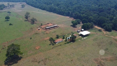Fazenda, 931 hectares - Foto 2