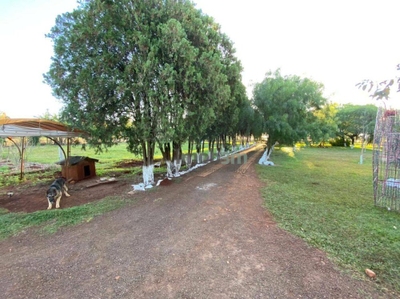 Chácara, 4 quartos, 5300 m² - Foto 1