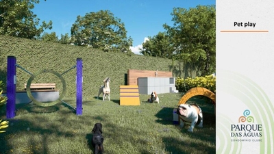 Apartamento, 3 quartos, 54 m² - Foto 5