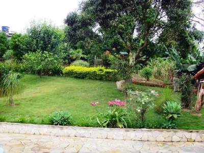 Casa, 3 quartos, 230 m² - Foto 4