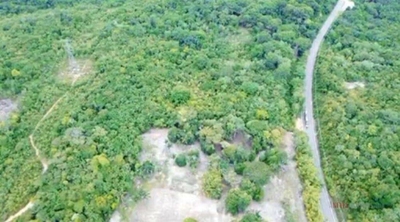 Chácara, 3 quartos, 39 hectares - Foto 2