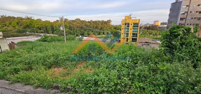 Terreno, 710 m² - Foto 3