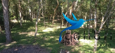 Chácara, 3 quartos, 1 hectares - Foto 2