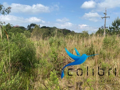 Terreno, 730 m² - Foto 3