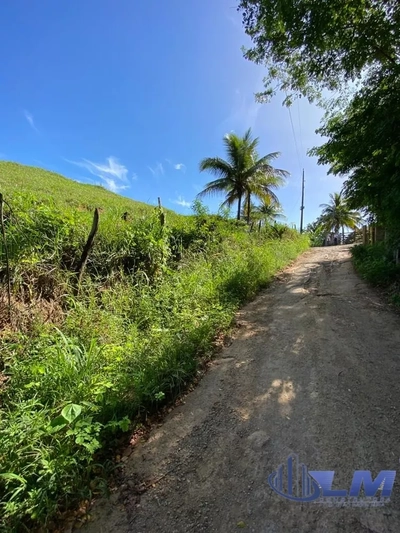 Terreno, 5000 m² - Foto 2