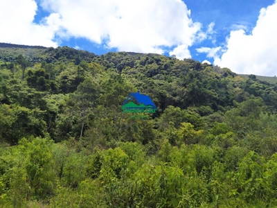 Terreno, 3 hectares - Foto 5