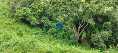 Terreno, 46 hectares - Foto 1