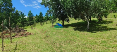Fazenda-Sítio-Chácara, 85 hectares - Foto 2