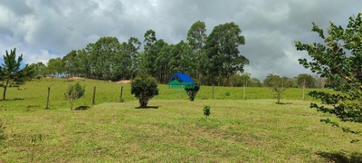 Fazenda-Sítio-Chácara, 85 hectares - Foto 4