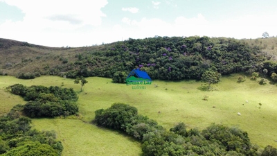 Fazenda-Sítio-Chácara, 85 hectares - Foto 5