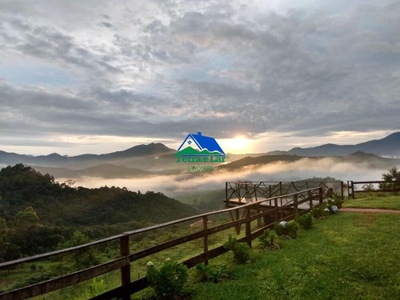 Hotel, 3 quartos, 500 m² - Foto 1