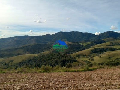 Sítio, 25 hectares - Foto 3