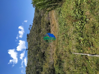 Terreno, 13 hectares - Foto 5