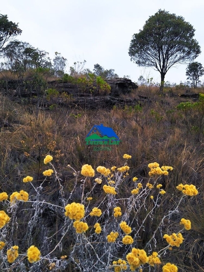 Terreno, 23 hectares - Foto 2