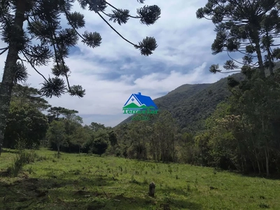 Casa, 5 quartos, 20000 m² - Foto 4