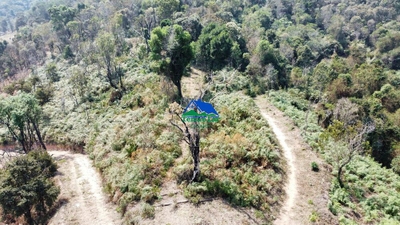 Sítio, 15 hectares - Foto 4