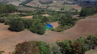 Fazenda-Sítio-Chácara, 52 hectares - Foto 2