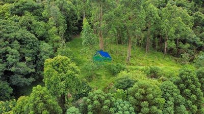 Terreno, 10 hectares - Foto 2