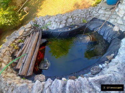 Chácara, 6 quartos, 700 m² - Foto 4