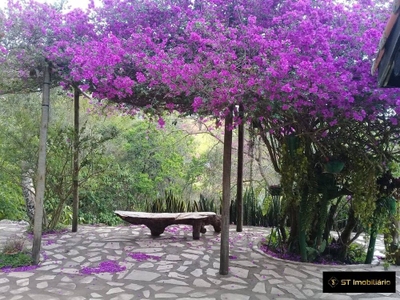 Sítio, 5 quartos, 20 hectares - Foto 4