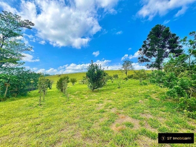 Sítio, 5 quartos, 20 hectares - Foto 2