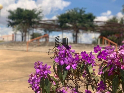 Terreno, 420 m² - Foto 4