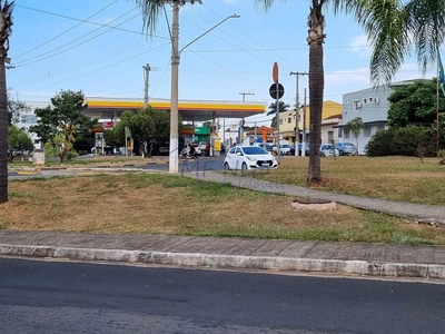 Casa, 3 quartos, 575 m² - Foto 3