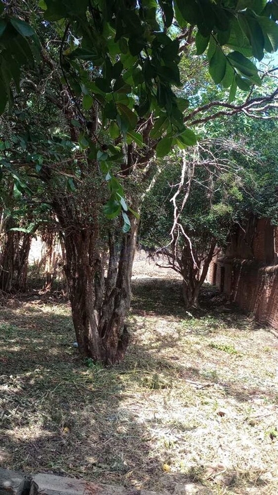 Terreno, 416 m² - Foto 3