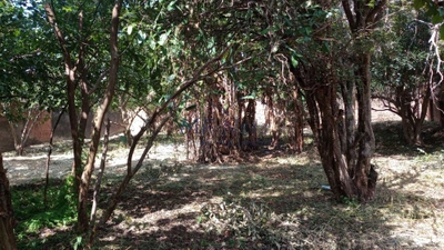 Terreno, 416 m² - Foto 2