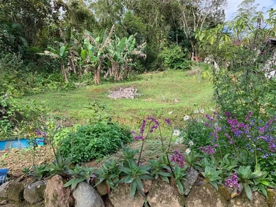 Terreno, 9700 m² - Foto 4