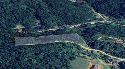 Sítio, 3 hectares - Foto 4