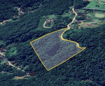 Sítio, 3 hectares - Foto 3