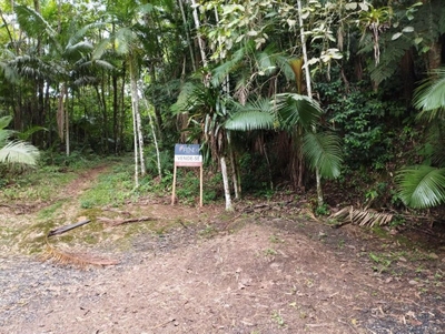 Terreno, 2 hectares - Foto 1