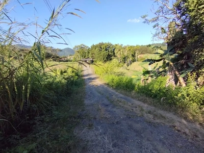 Depósito-Galpão, 200 m² - Foto 3