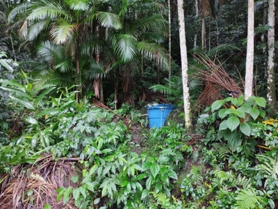 Terreno, 13 hectares - Foto 3