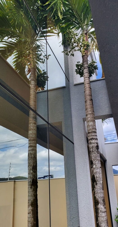 Casa, 4 quartos - Foto 2