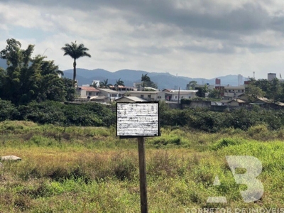 Terreno, 1 hectares - Foto 2