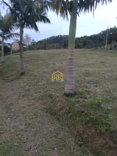 Sítio, 3 quartos, 1 hectares - Foto 3