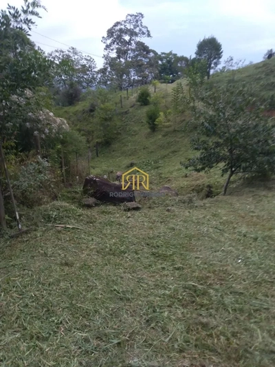 Sítio, 3 quartos, 1 hectares - Foto 5