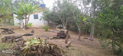 Sítio, 200 m² - Foto 1