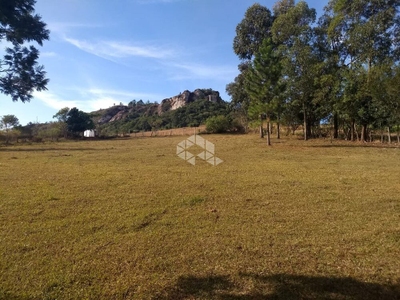 Sítio, 10000 m² - Foto 5