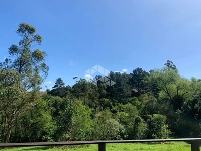 Sítio, 2000 m² - Foto 4