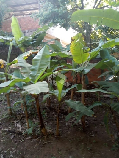 Terreno, 5000 m² - Foto 2